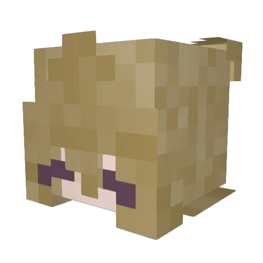 abbiepup Minecraft avatar head, 3D render