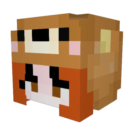 abbobarro Minecraft avatar head, 3D render
