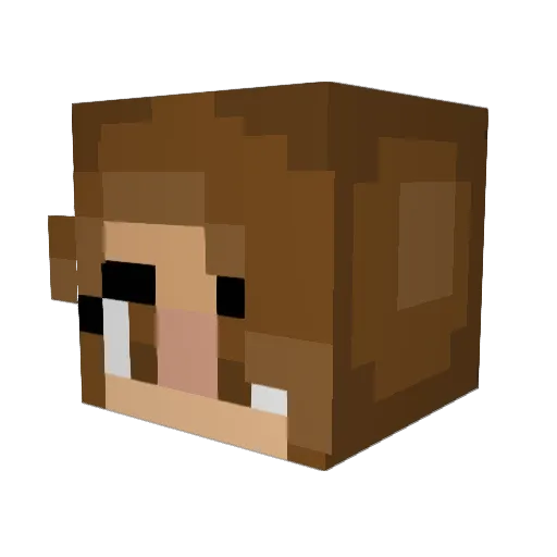 abbycado Minecraft avatar head, 3D render