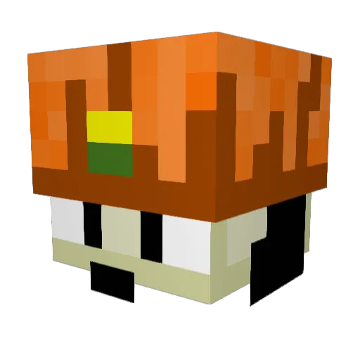 abbylonian Minecraft avatar head, 3D render