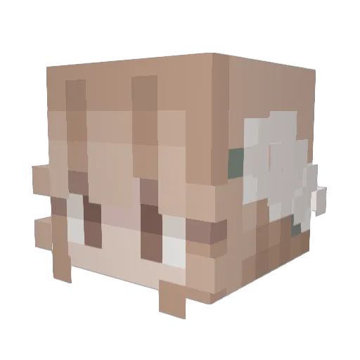 abbymaye Minecraft avatar head, 3D render