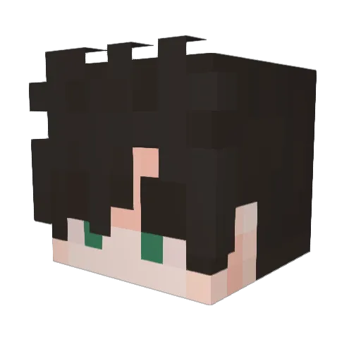 abcdefg7 Minecraft avatar head, 3D render