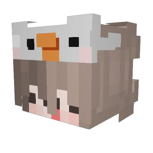 abcdefghijklnm Minecraft avatar head, 3D render