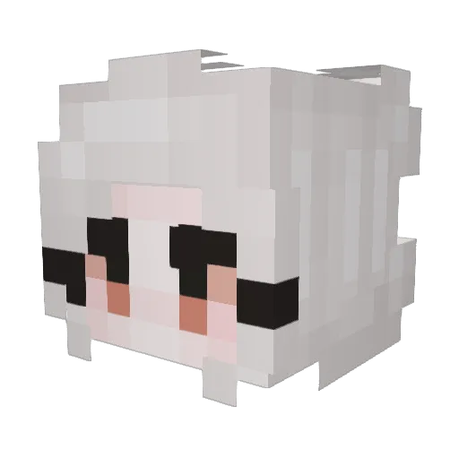 abcut Minecraft avatar head, 3D render