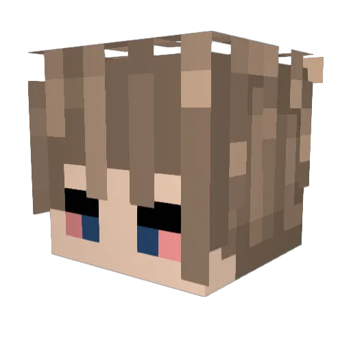 aber1234 Minecraft avatar head, 3D render