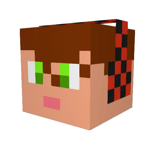 aberiggs Minecraft avatar head, 3D render