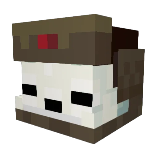 aberka1 Minecraft avatar head, 3D render