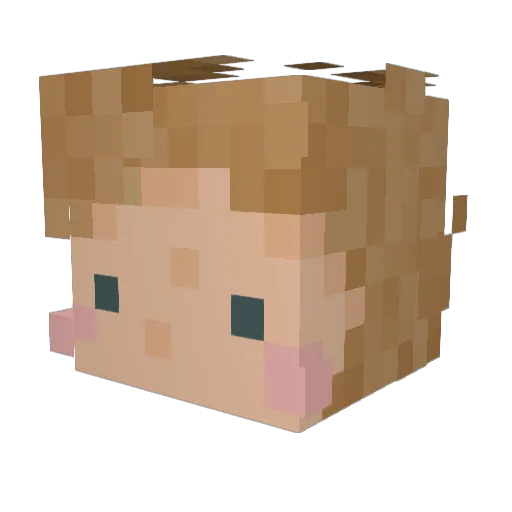 abgebrannter Minecraft avatar head, 3D render