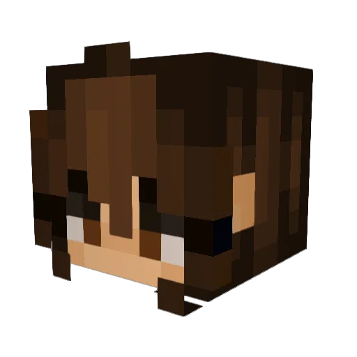 abillinger10123 Minecraft avatar head, 3D render