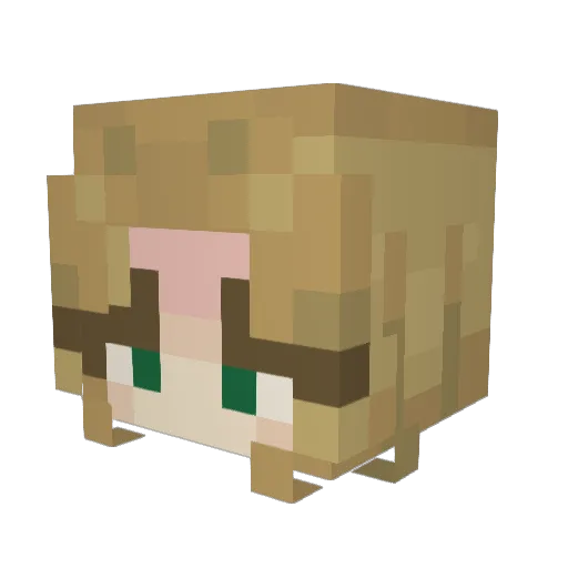 abithespoon07 Minecraft avatar head, 3D render