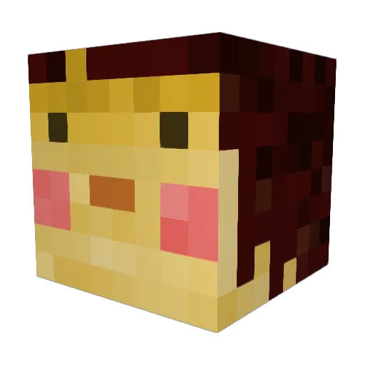ablindpikachu Minecraft avatar head, 3D render