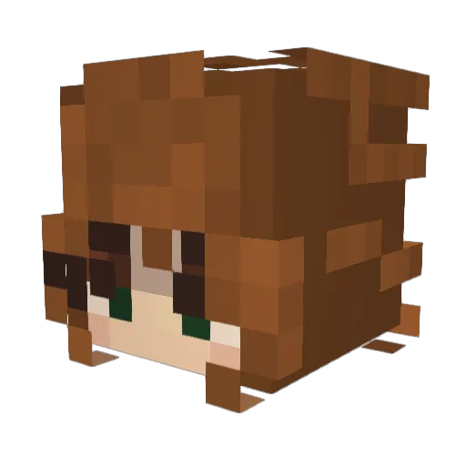 abloomsoom Minecraft avatar head, 3D render