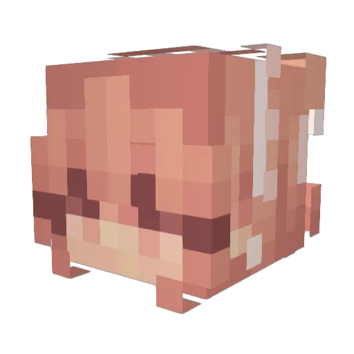 abnormal210 Minecraft avatar head, 3D render