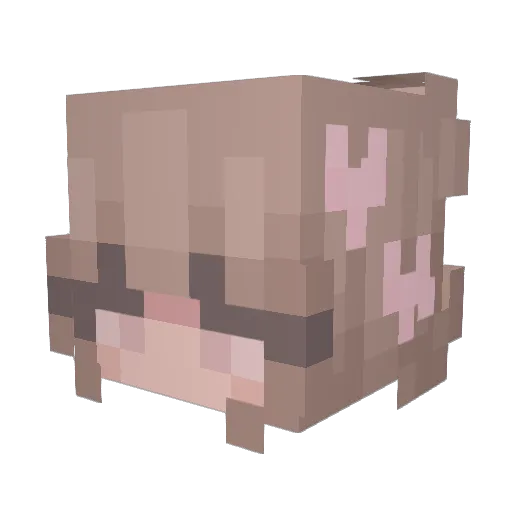 abobuss002 Minecraft avatar head, 3D render