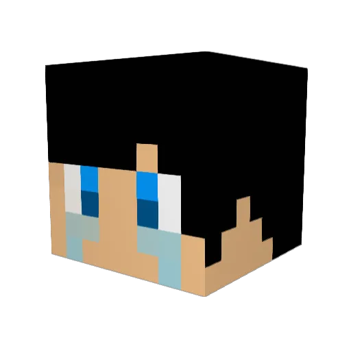 abody1233 Minecraft avatar head, 3D render