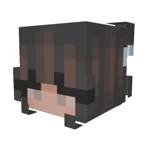 aboliavirus Minecraft avatar head, 3D render