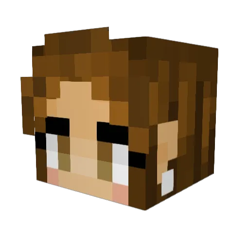 abooknerd Minecraft avatar head, 3D render