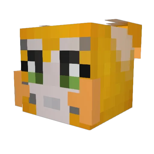 aboy5050 Minecraft avatar head, 3D render