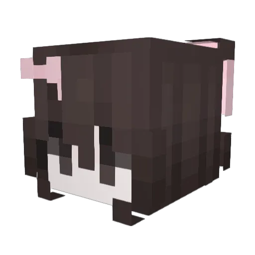 abpuffin Minecraft avatar head, 3D render