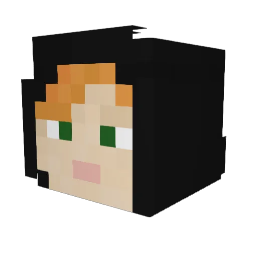 abra8ams Minecraft avatar head, 3D render
