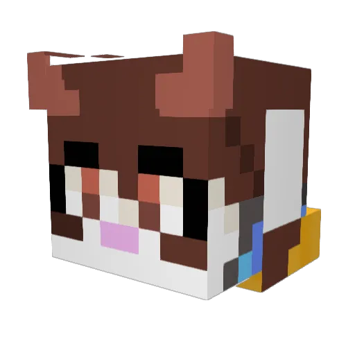 abraneidor Minecraft avatar head, 3D render