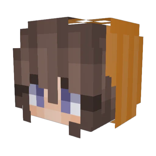 abribuscouvranty Minecraft avatar head, 3D render