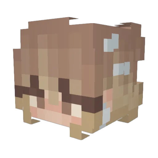 abs_cadabs Minecraft avatar head, 3D render