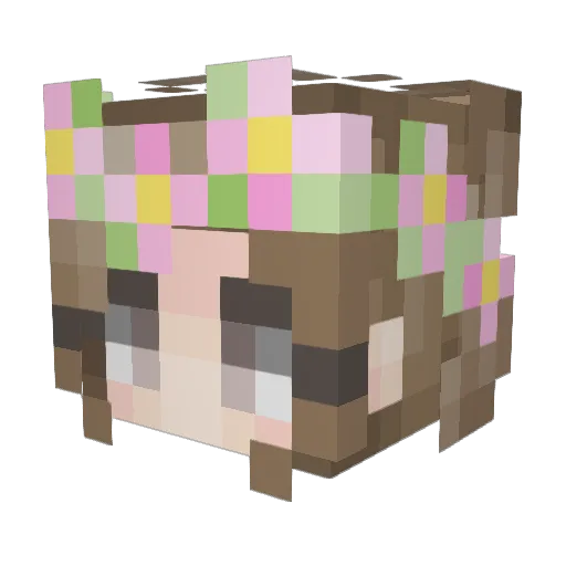absent_aardvark Minecraft avatar head, 3D render
