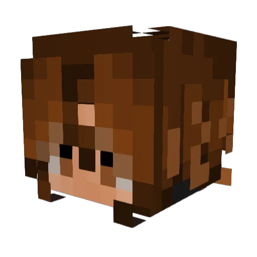 absentbuggy Minecraft avatar head, 3D render