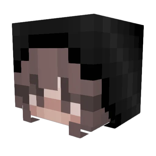 absofsteel9 Minecraft avatar head, 3D render