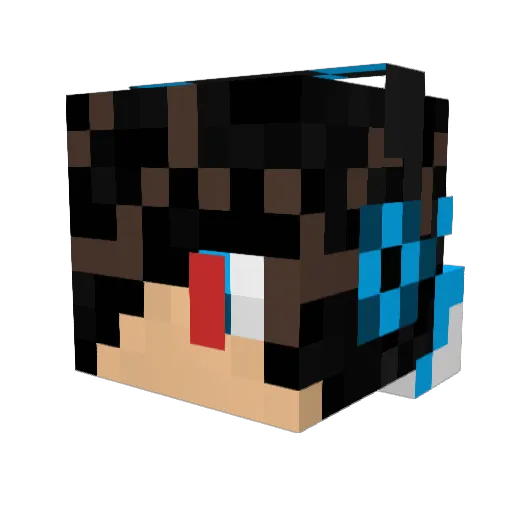 abunassergamer12 Minecraft avatar head, 3D render