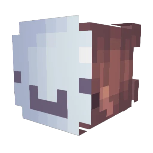 abx_06 Minecraft avatar head, 3D render