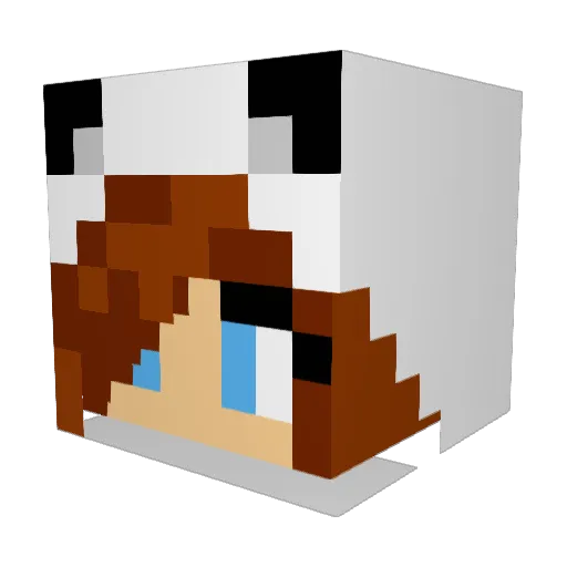 abygaga Minecraft avatar head, 3D render