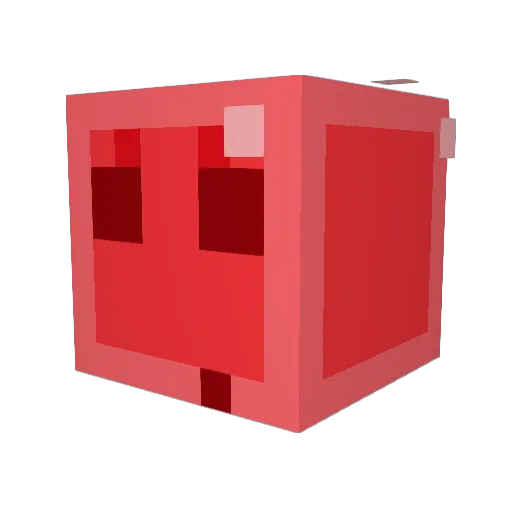 ac0u0 Minecraft avatar head, 3D render