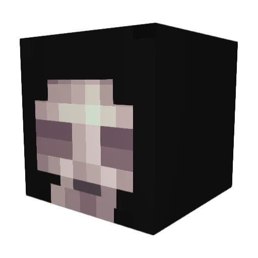 acamerer12 Minecraft avatar head, 3D render