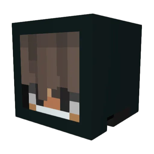 acarsarp Minecraft avatar head, 3D render