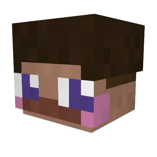 acasaca Minecraft avatar head, 3D render