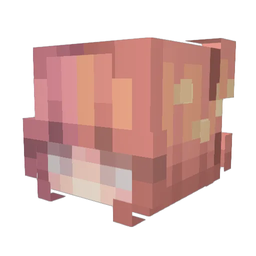 acashbeamedme Minecraft avatar head, 3D render
