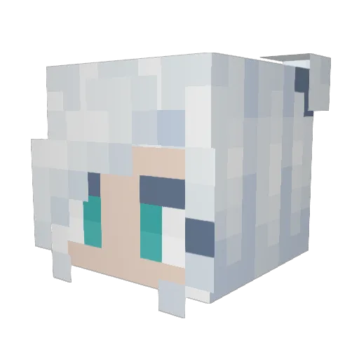 acatslushie Minecraft avatar head, 3D render