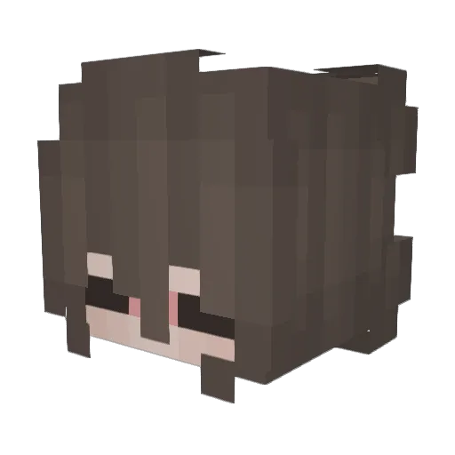 acb_ Minecraft avatar head, 3D render