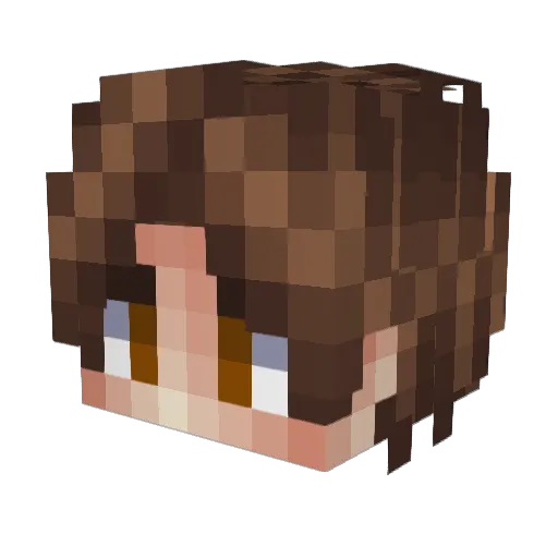 accelLv11 Minecraft avatar head, 3D render