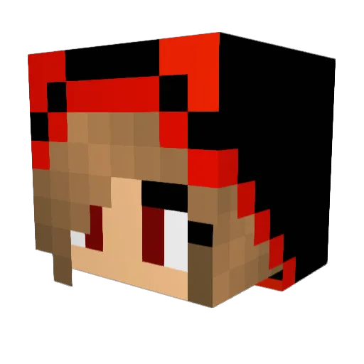 acceppt Minecraft avatar head, 3D render
