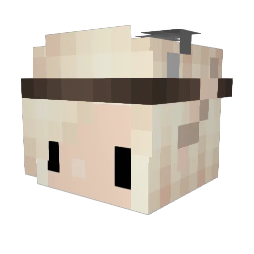accha Minecraft avatar head, 3D render