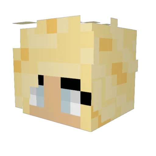 acdose11 Minecraft avatar head, 3D render