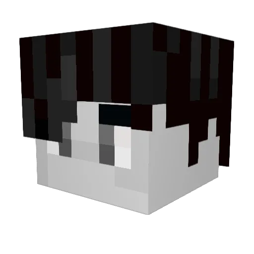 acdude19 Minecraft avatar head, 3D render