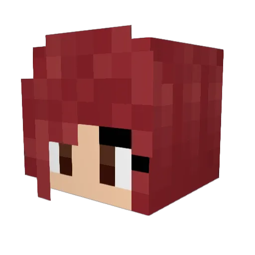 ace1456 Minecraft avatar head, 3D render