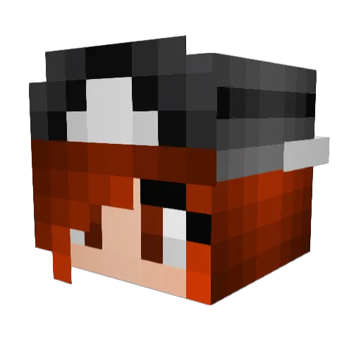 ace490 Minecraft avatar head, 3D render