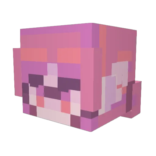 ace_admin Minecraft avatar head, 3D render