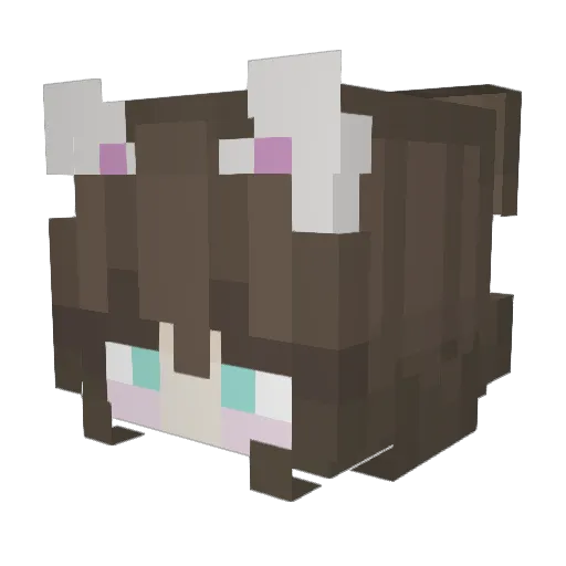 ace_allyy Minecraft avatar head, 3D render
