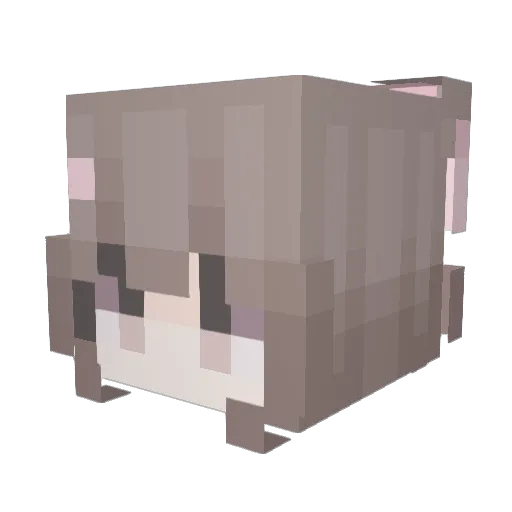 aceblue555 Minecraft avatar head, 3D render